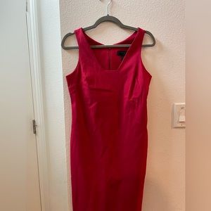 Express Stretch Red Dress